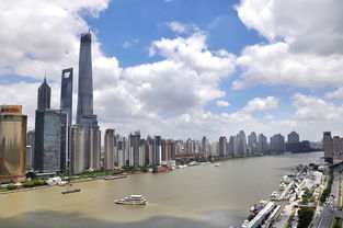 上海电梯厂家，技术革新与市场发展的双重驱动力