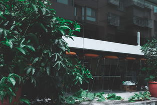 光泽租房市场全解析，如何找到理想的居住环境