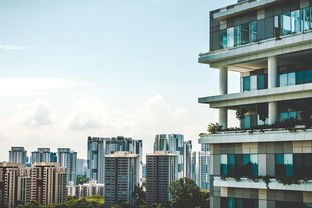 合江房屋出租市场分析及租房攻略