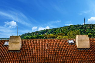 老福山租房，探索城市绿洲中的温馨家园